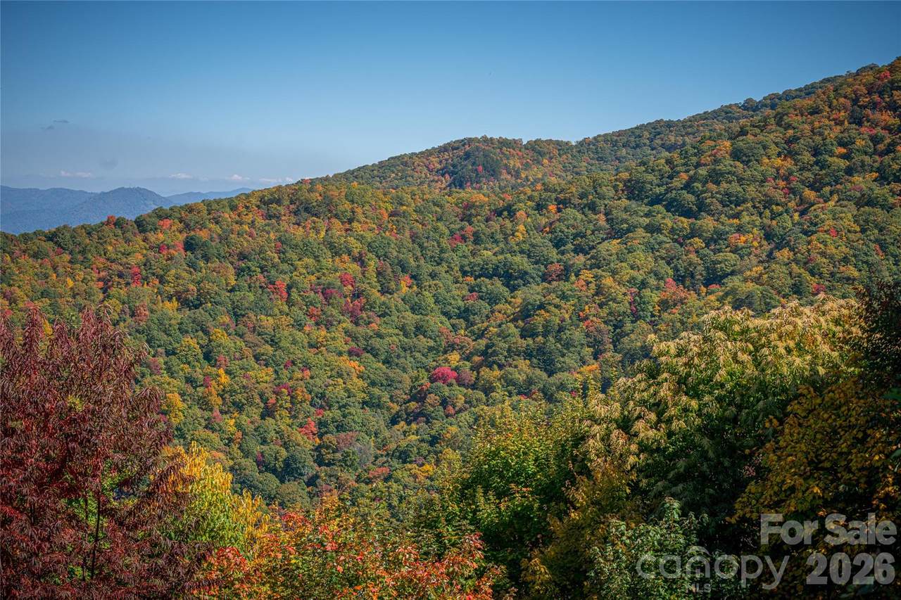 205 Chickadee Lane - Photo 1