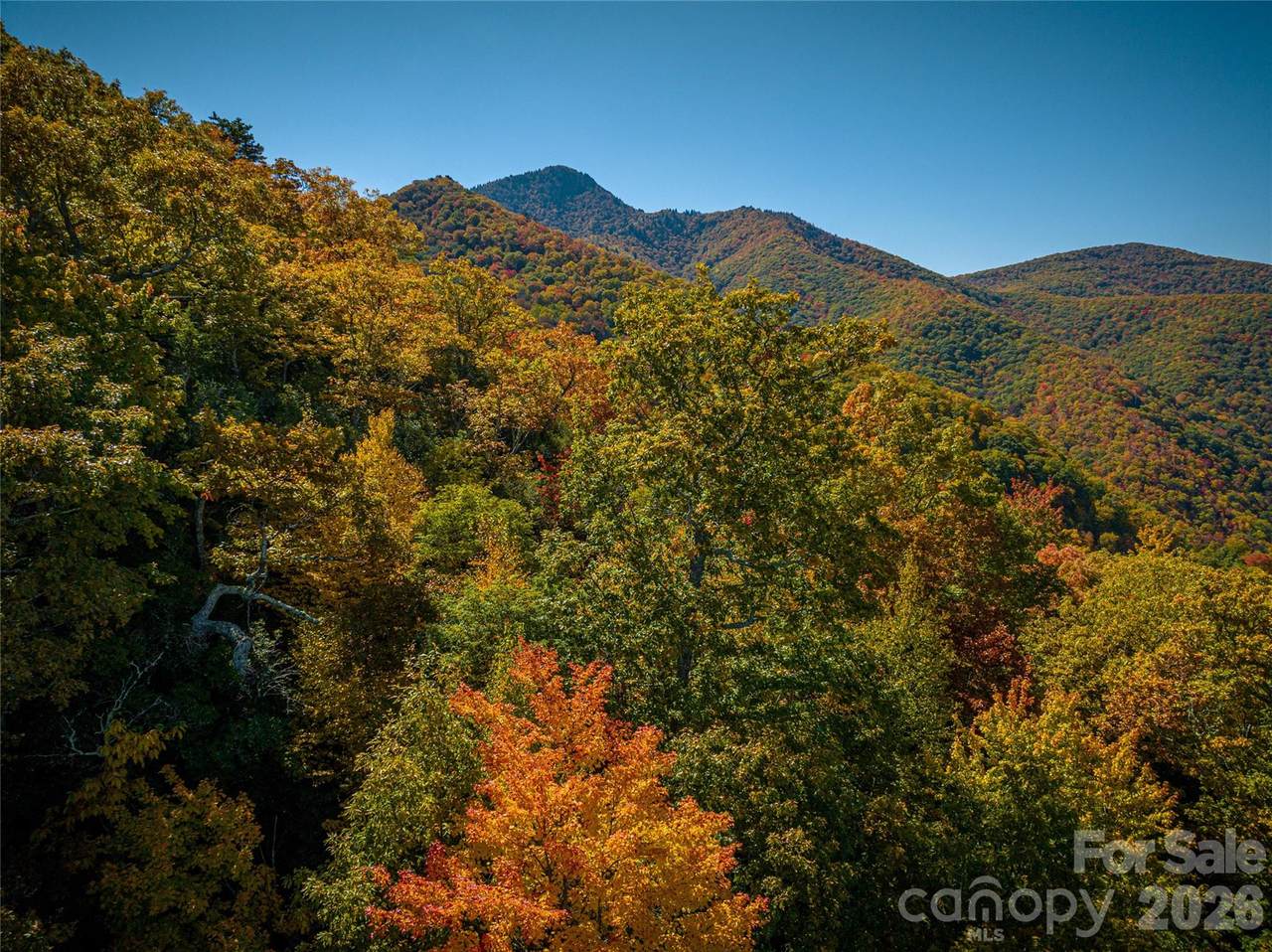 https://bt-photos.global.ssl.fastly.net/cmls/1280_boomver_2_4303576-1.jpg
