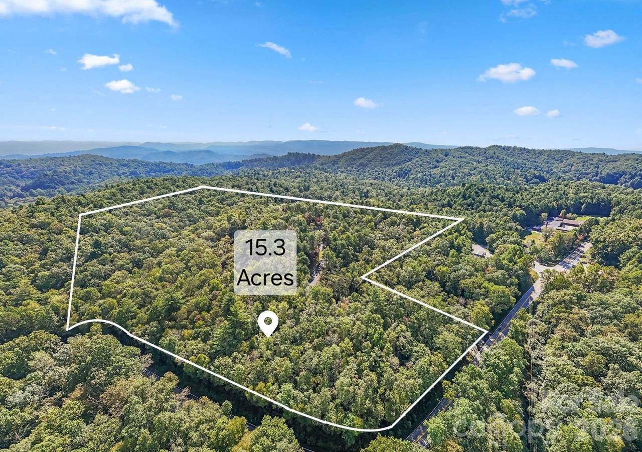 11763 Rosman Highway - Photo 1