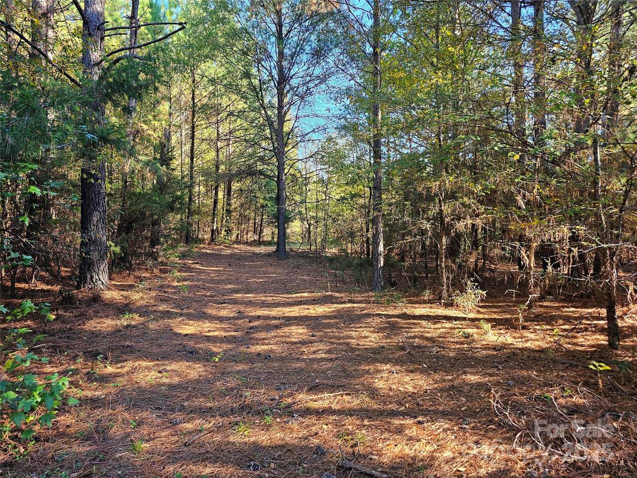 5311 Lancaster Highway - Photo 1