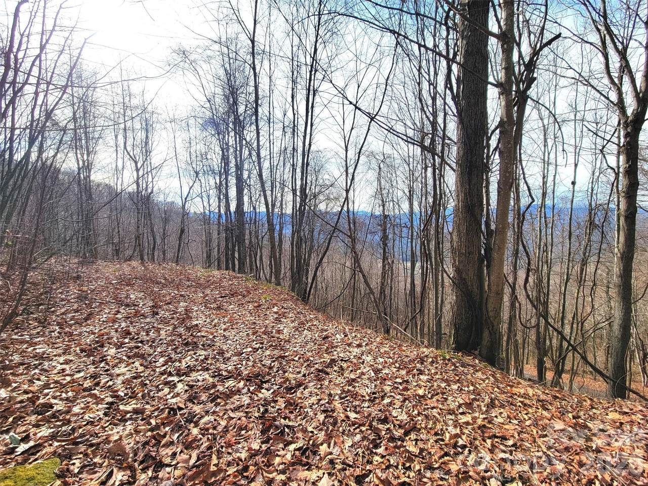 75 Rimrock Ridge - Photo 1