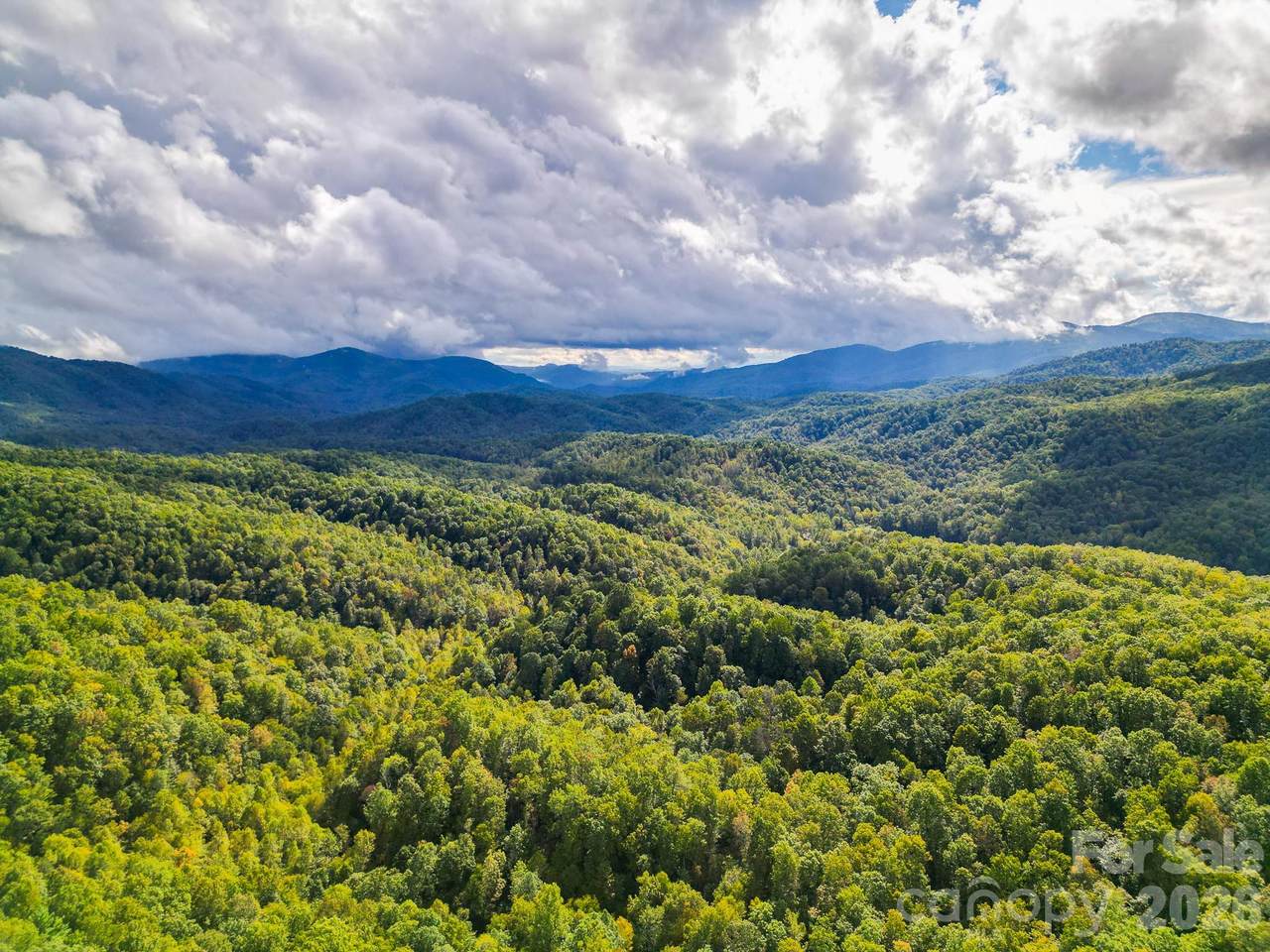 99999 Forest Brook Drive - Photo 1