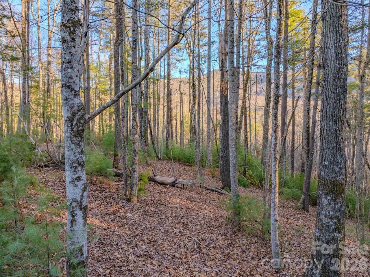 Lots 37 & 38 Settlers Ridge Road - Photo 1