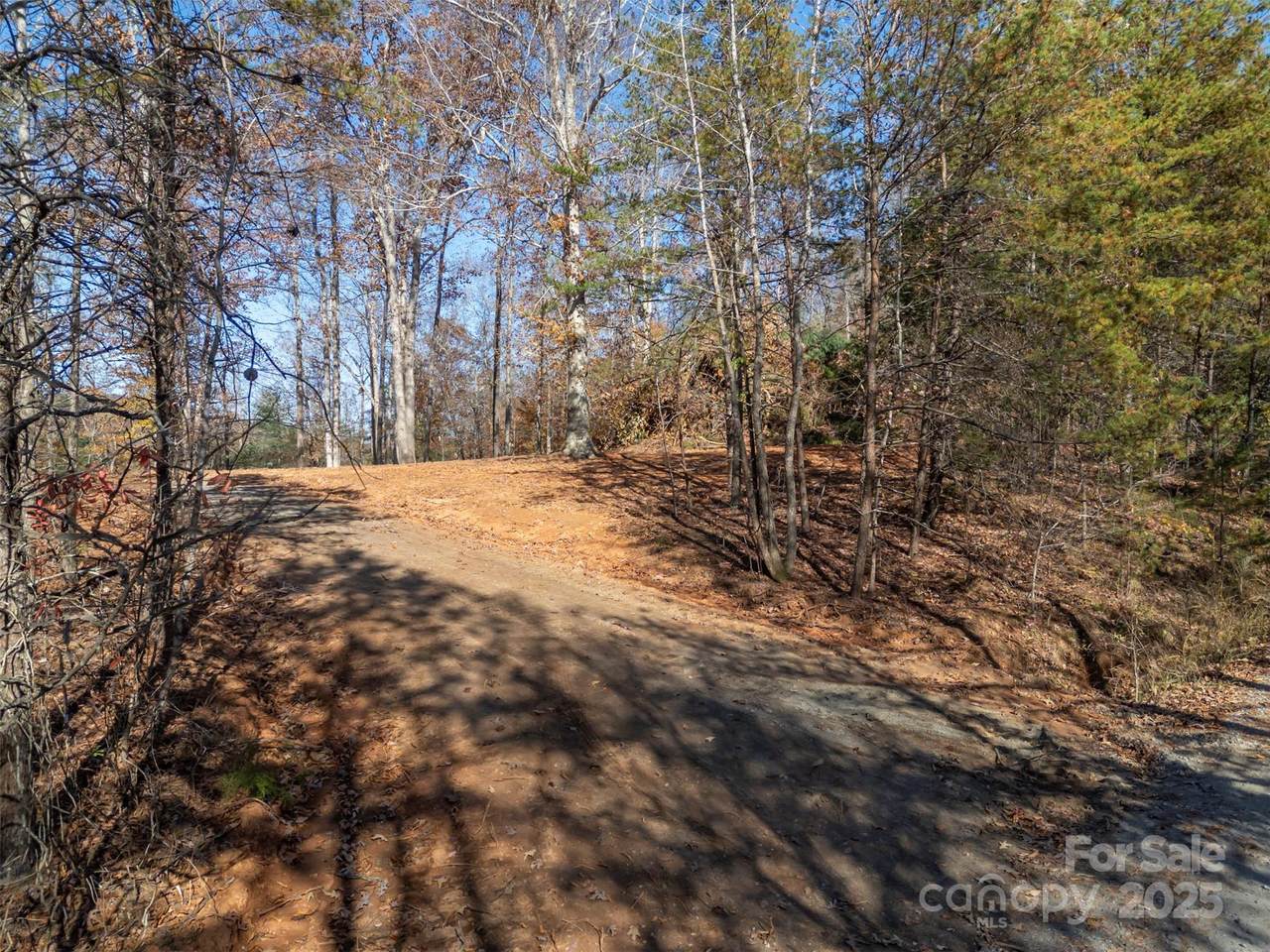 145 Stroud Mountain Trail - Photo 1