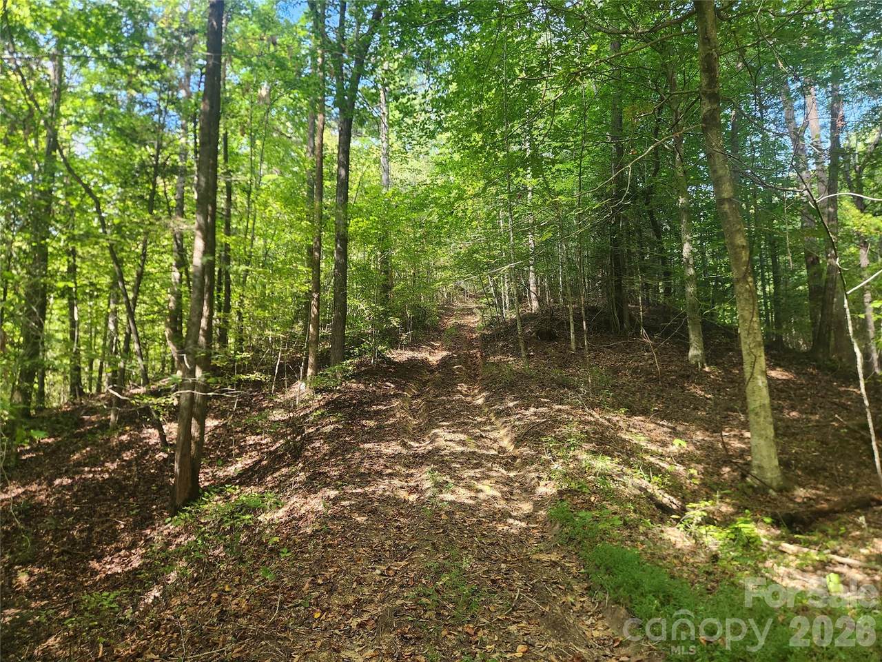 https://bt-photos.global.ssl.fastly.net/cmls/1280_boomver_2_4309224-1.jpg