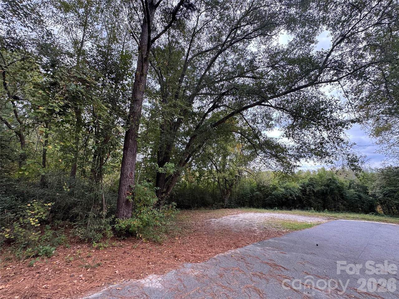 00 Ellen Drive - Photo 1