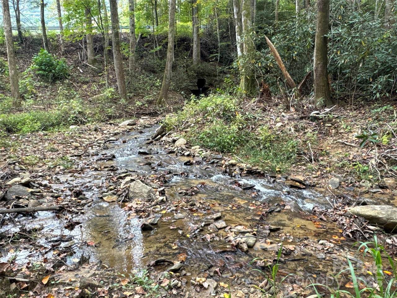 0 Mt Hebron Road - Photo 1