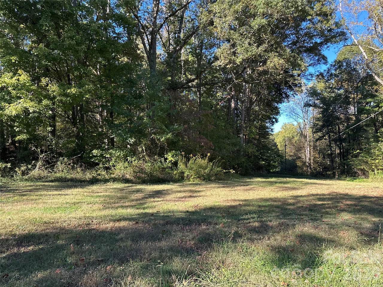 000 Courtney- Huntsville Road - Photo 1