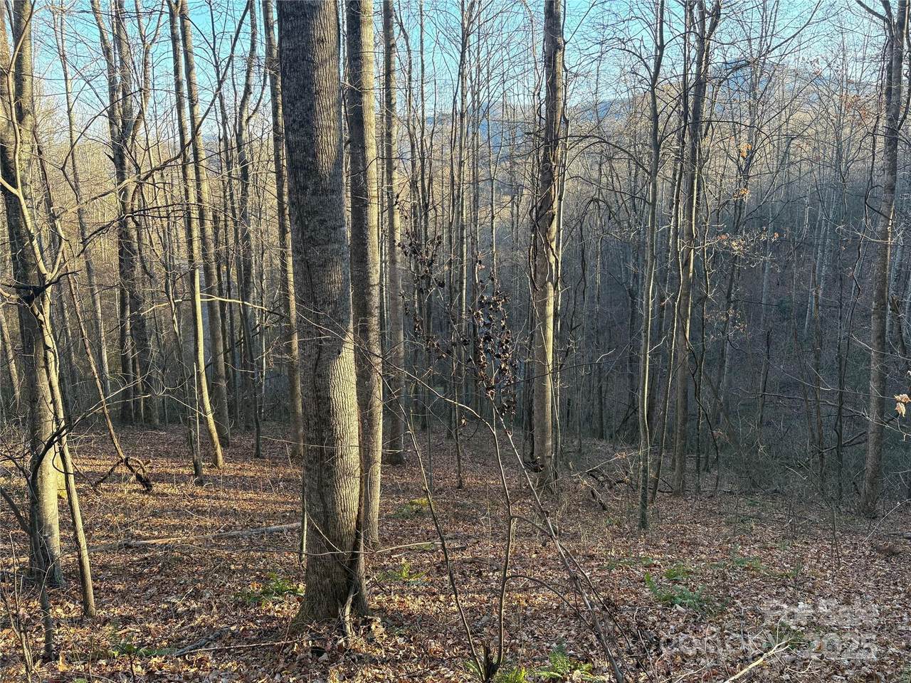 28 Cadillac Pointe - Photo 1