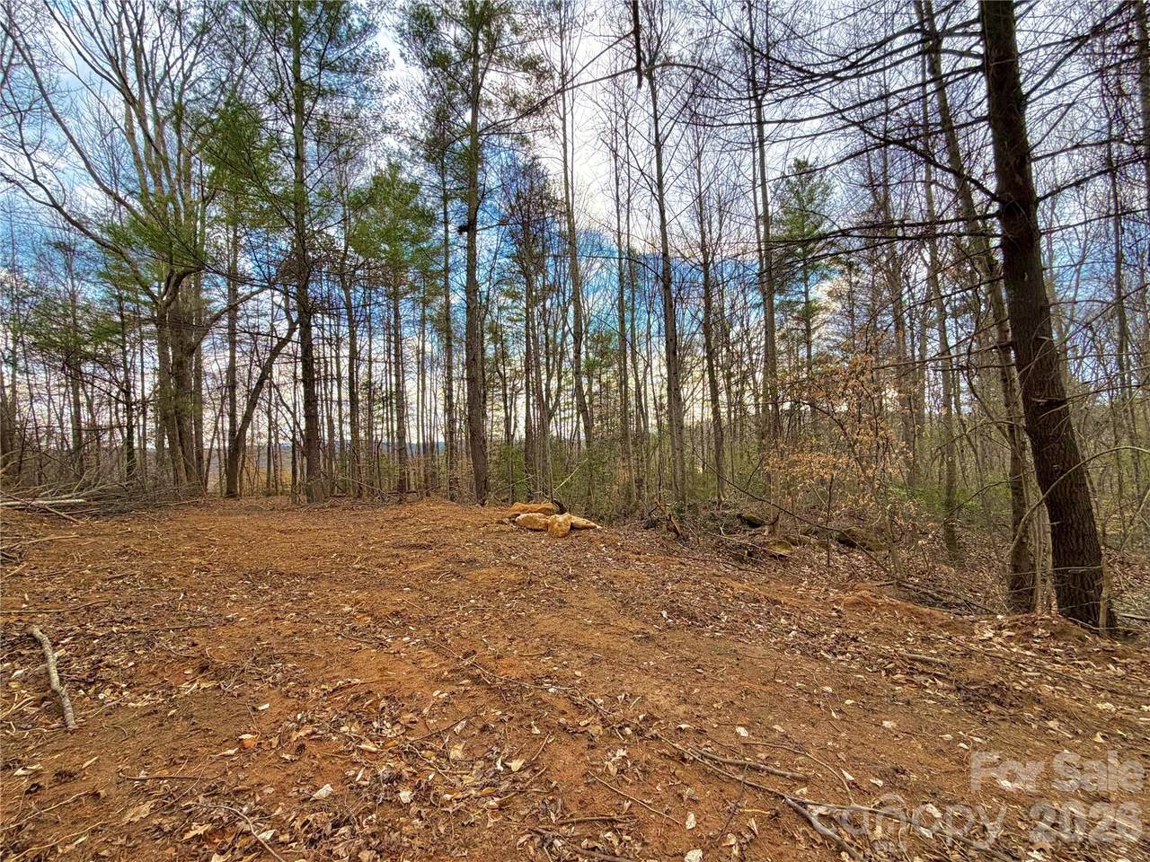 2800 Snipes Street - Photo 1