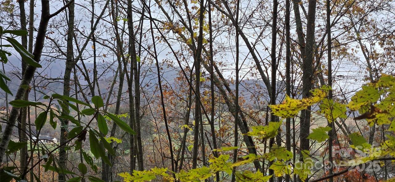 62 Turkey Hollow Court - Photo 1