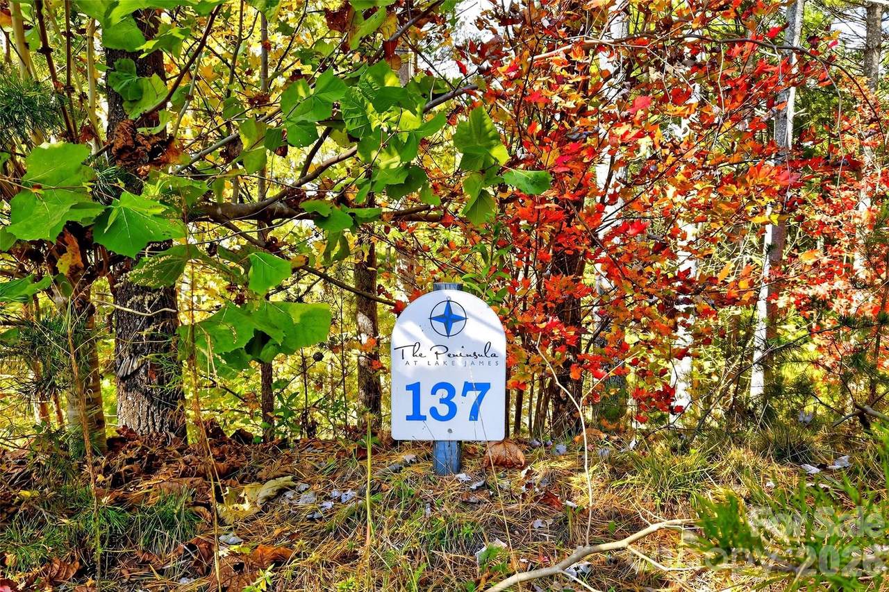 https://bt-photos.global.ssl.fastly.net/cmls/1280_boomver_2_4317251-1.jpg