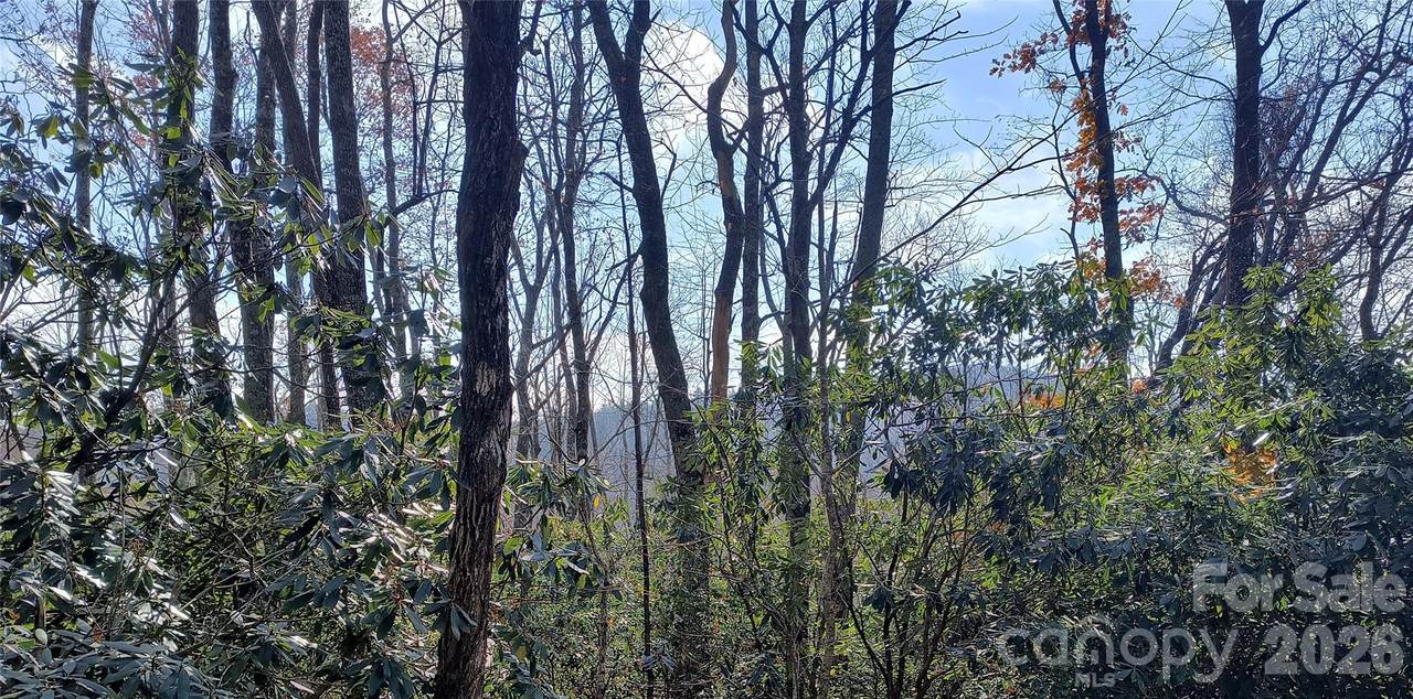 Lot 322 Sunny Drive - Photo 1