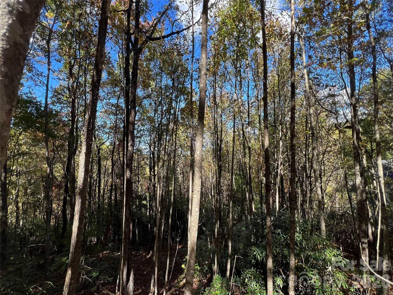 0 Wild Magnolia Way - Photo 1