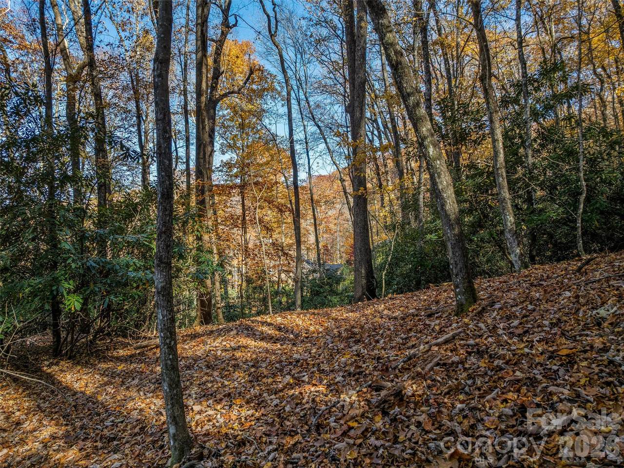 241 Skye Drive - Photo 1