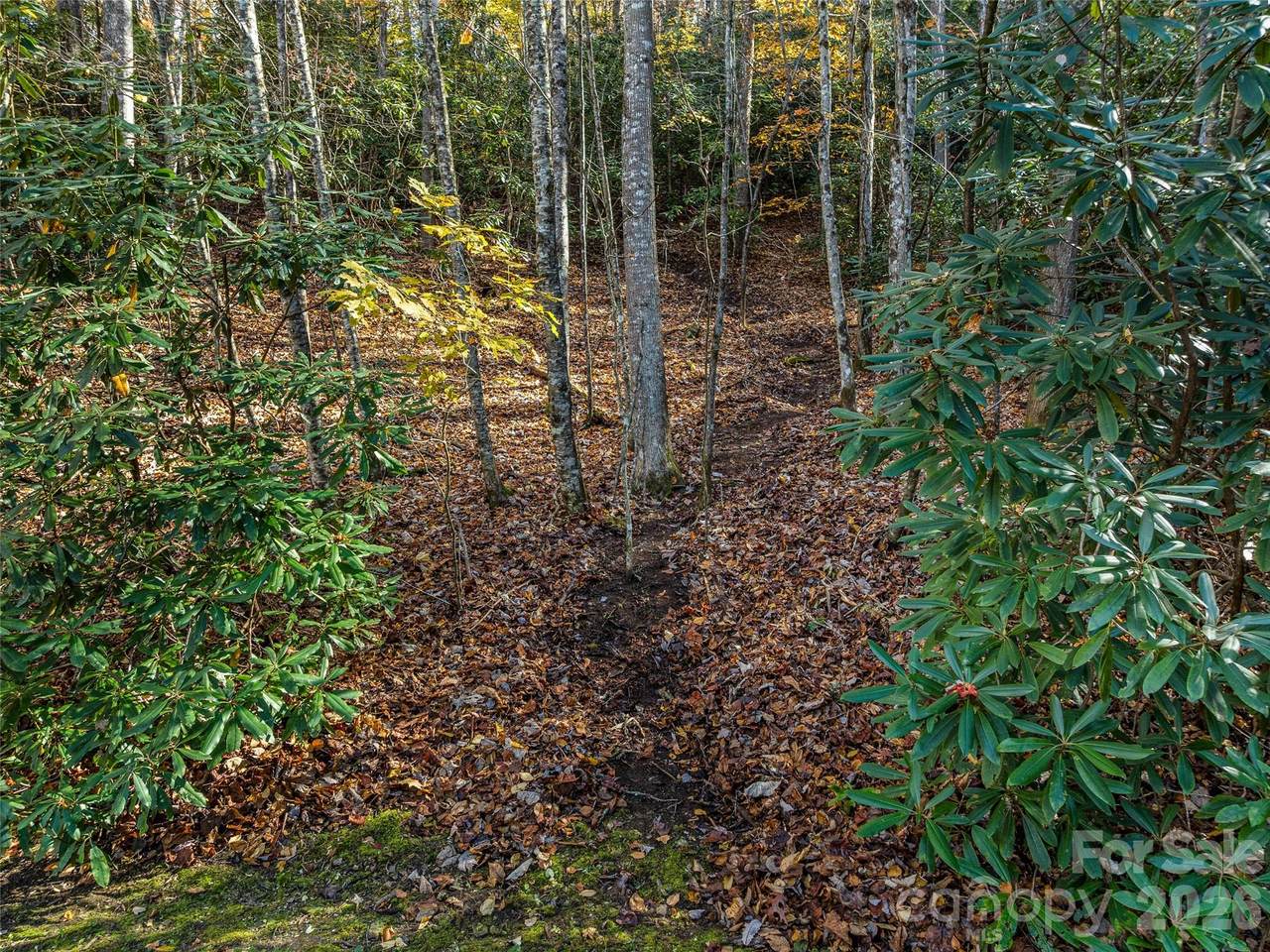 https://bt-photos.global.ssl.fastly.net/cmls/1280_boomver_2_4319860-1.jpg