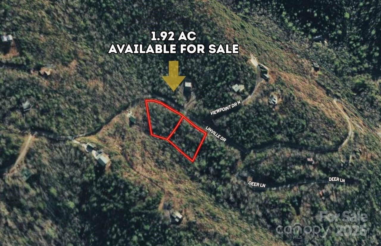 Lot 2 Us 221 Highway - Photo 1