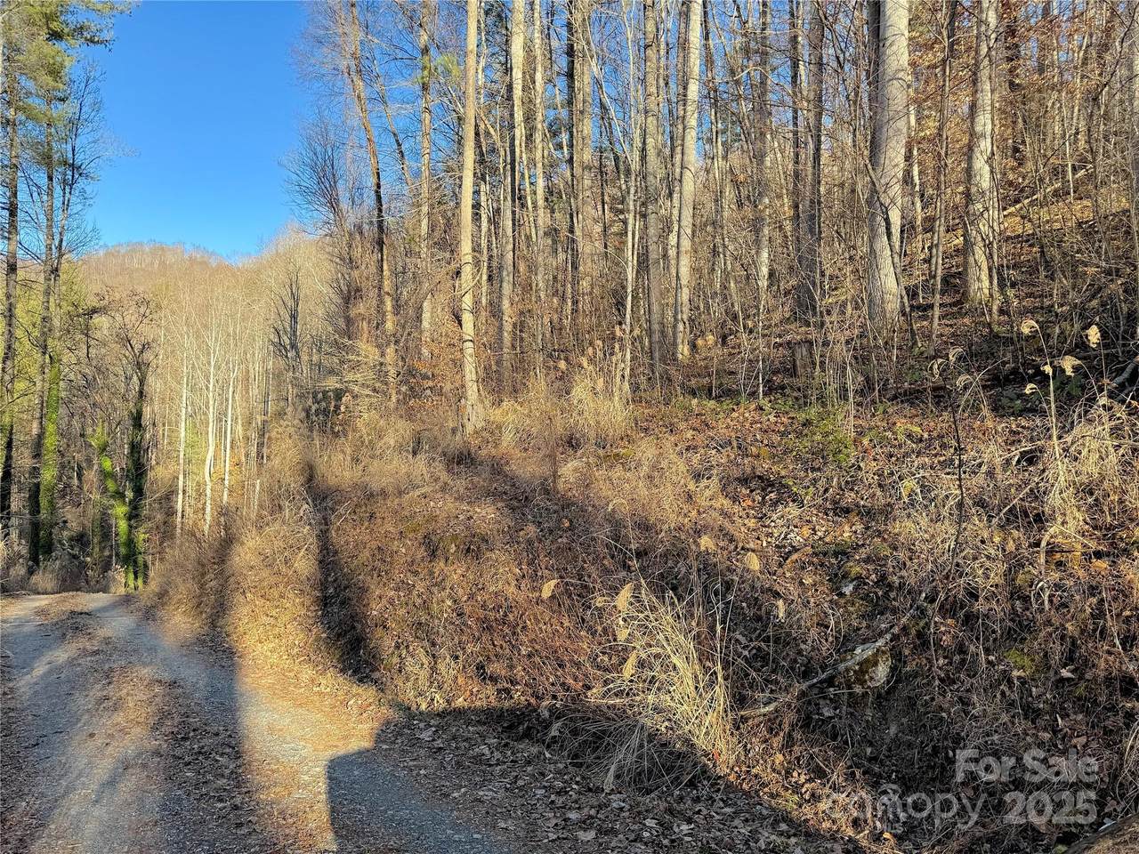 TBD Timberside Drive - Photo 1