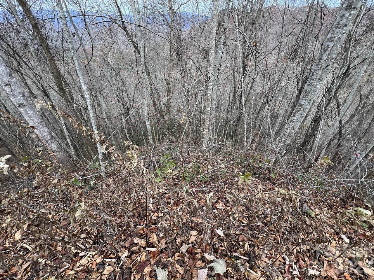 Lot 7 Deer Ridge Road - Photo 1