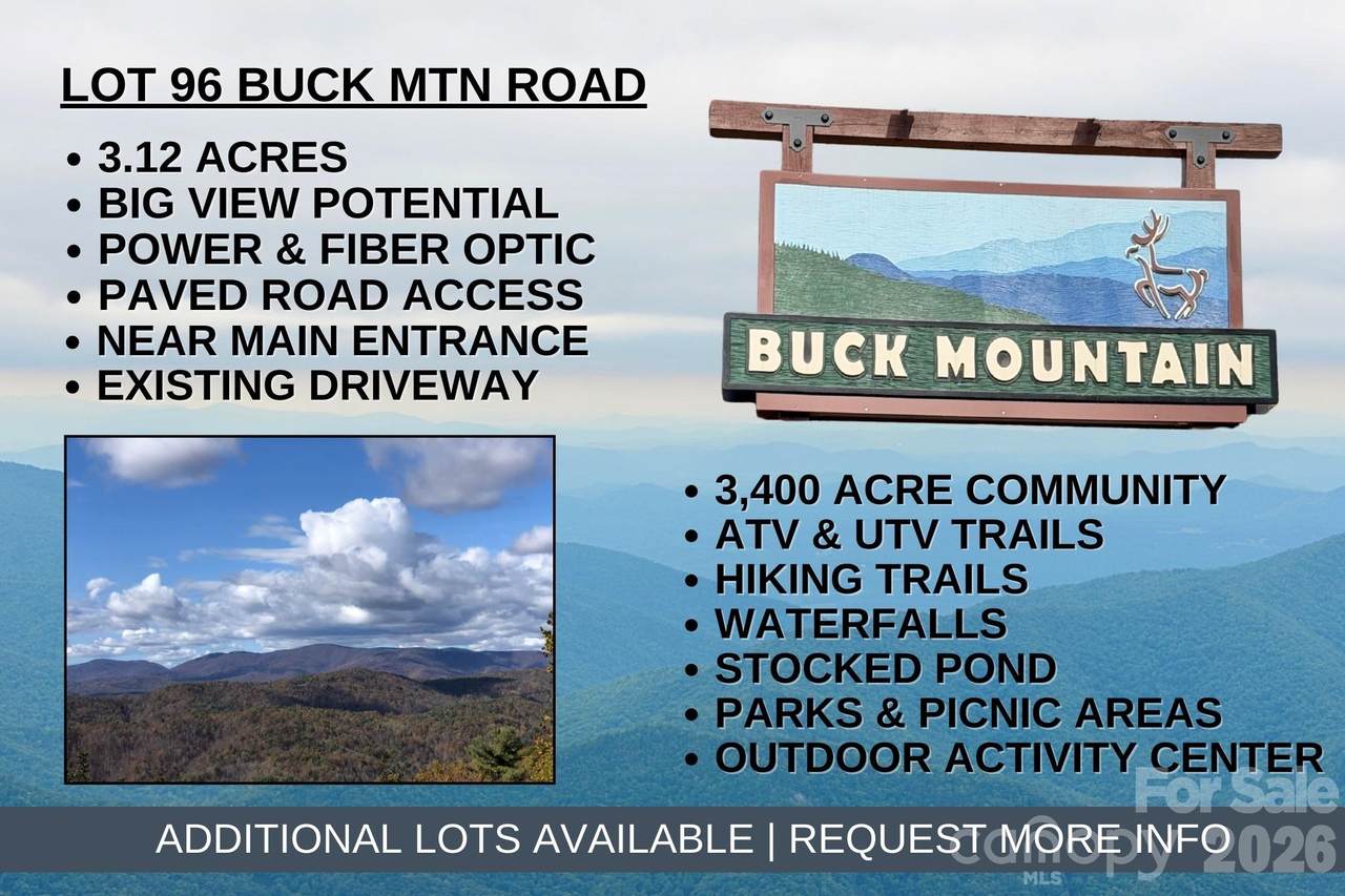 TBD Buck Mountain Road - Photo 1