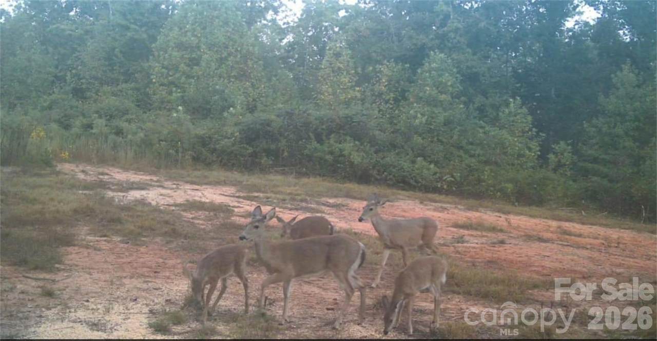 4204 Bennett Road - Photo 1