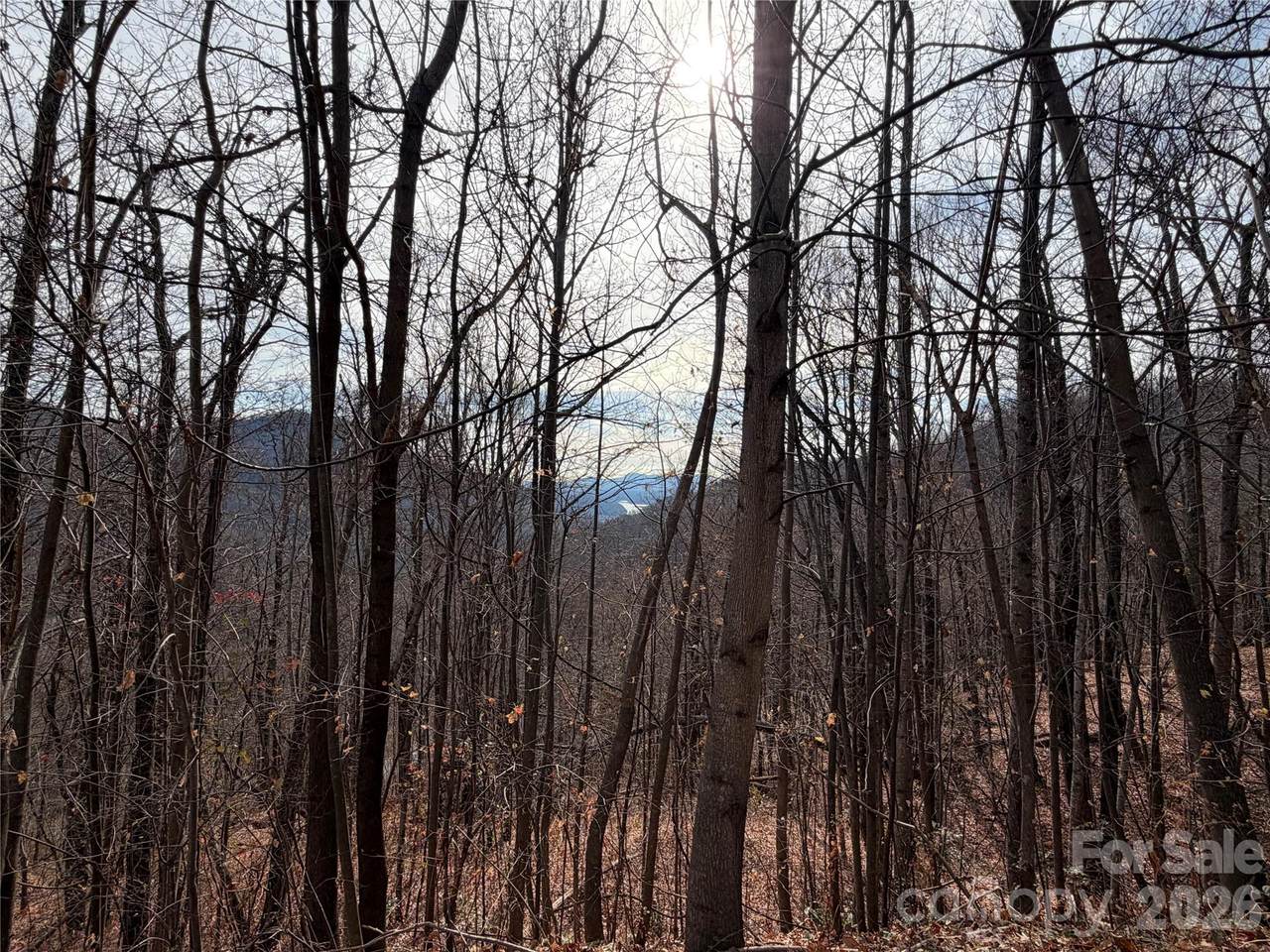 Lot 375 Rolling Ridge Trail - Photo 1