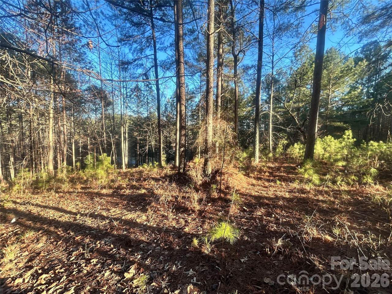 5501 Bridgewater Drive - Photo 1