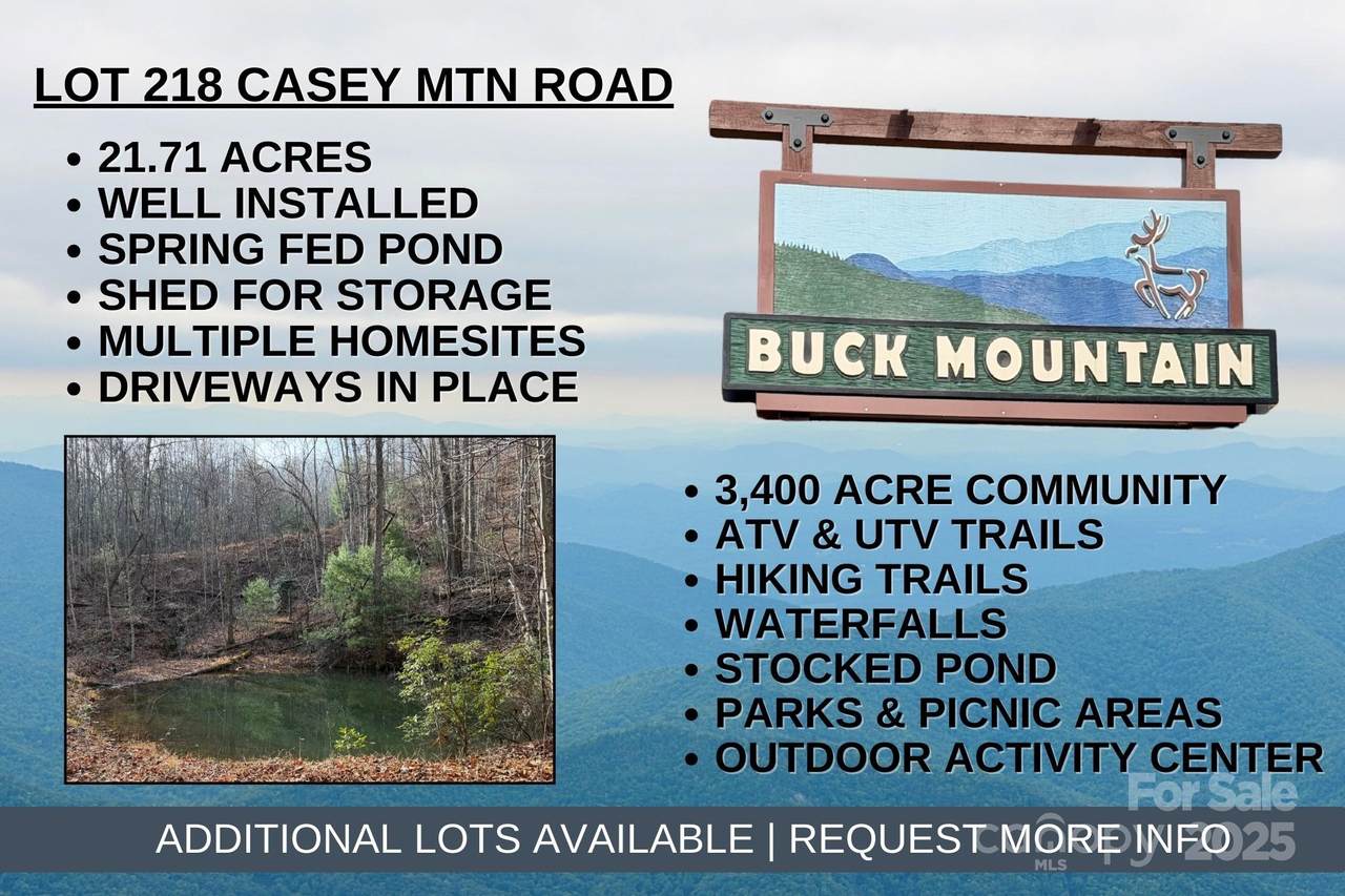 TBD Casey Mountain Road - Photo 1