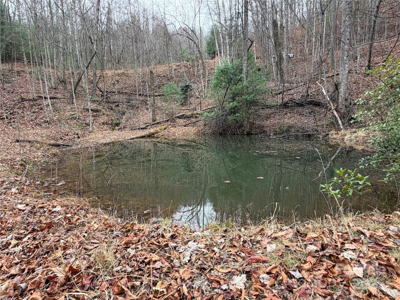 https://bt-photos.global.ssl.fastly.net/cmls/1280_boomver_2_4326792-1.jpg