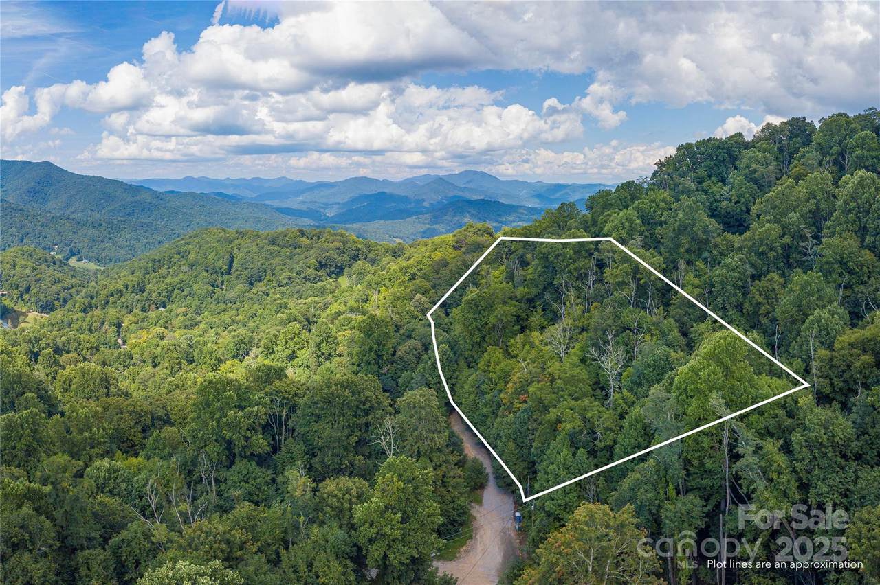 00 Pitch Fork Cove - Photo 1