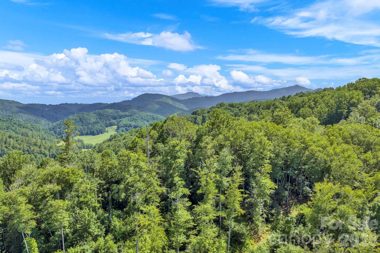 TBD Nc Highway 194 - Photo 1