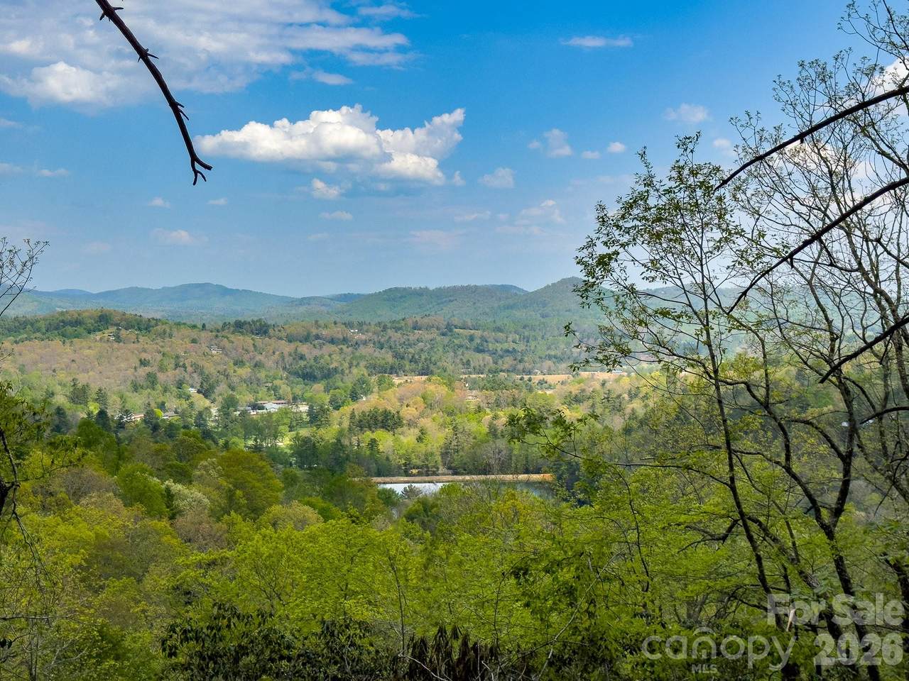 TBD Pine Point Road - Photo 1