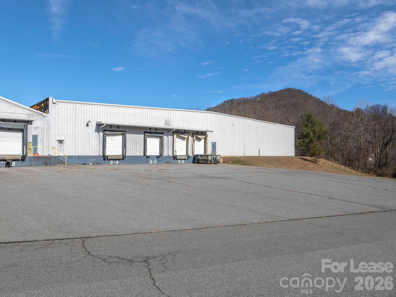 111 Old Bee Tree Road - Photo 1