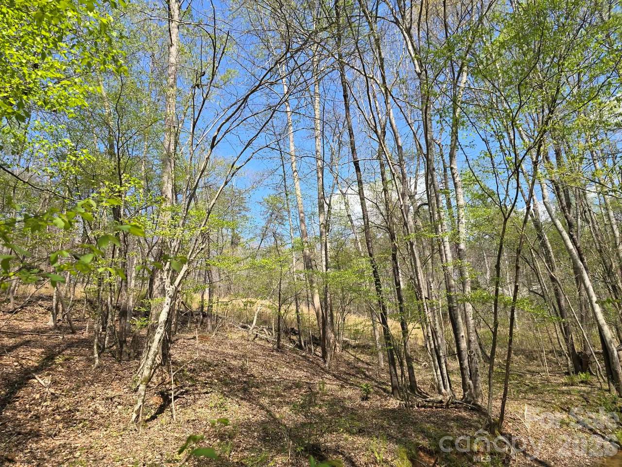 https://bt-photos.global.ssl.fastly.net/cmls/1280_boomver_2_4334120-1.jpg