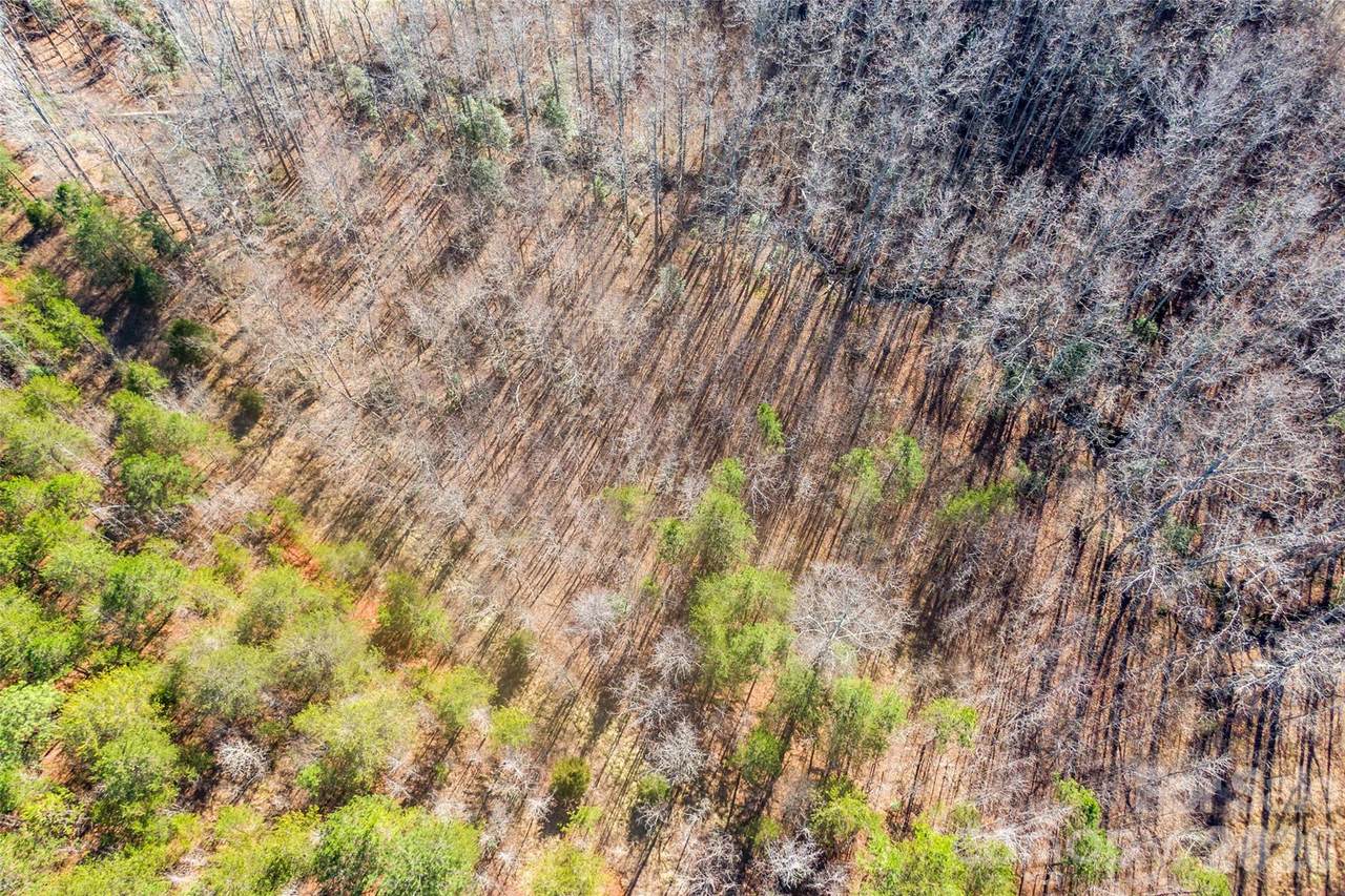 0 Riding Ring Drive - Photo 1