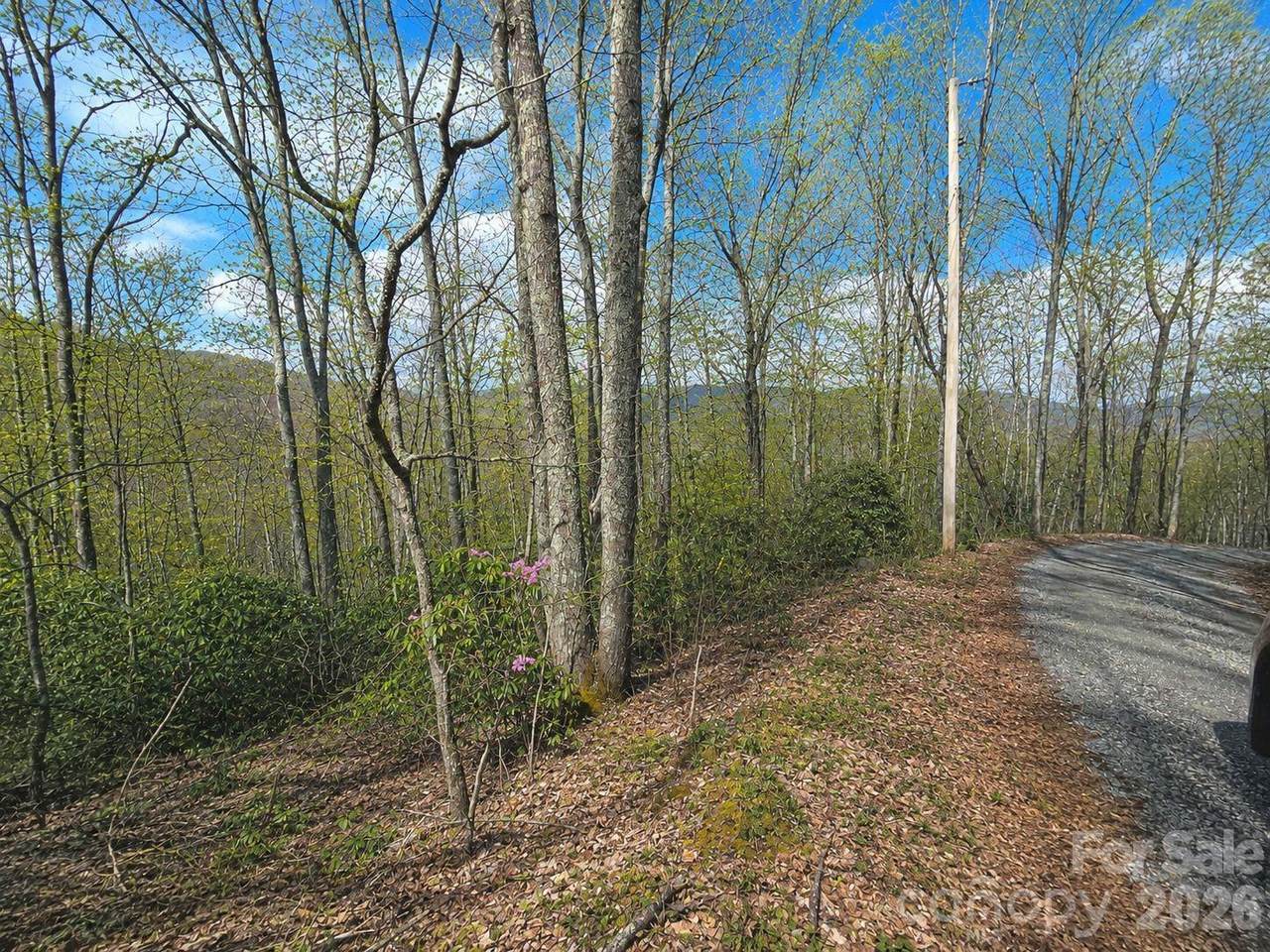 10 Tall Oaks Drive - Photo 1