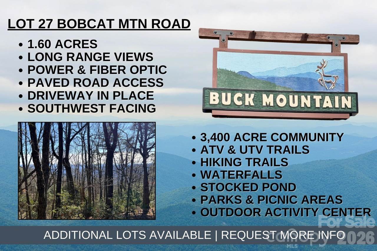 TBD Bobcat Mountain Road - Photo 1