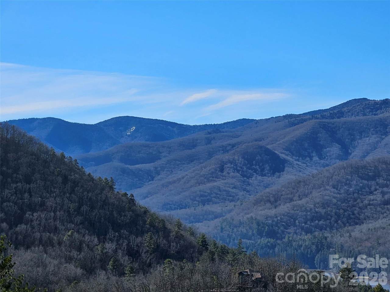000 Blue Vista Road - Photo 1