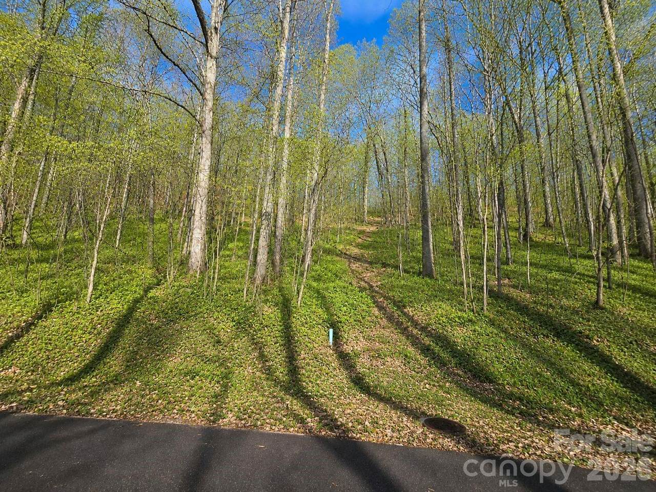 455 Mountain Watch Drive - Photo 1