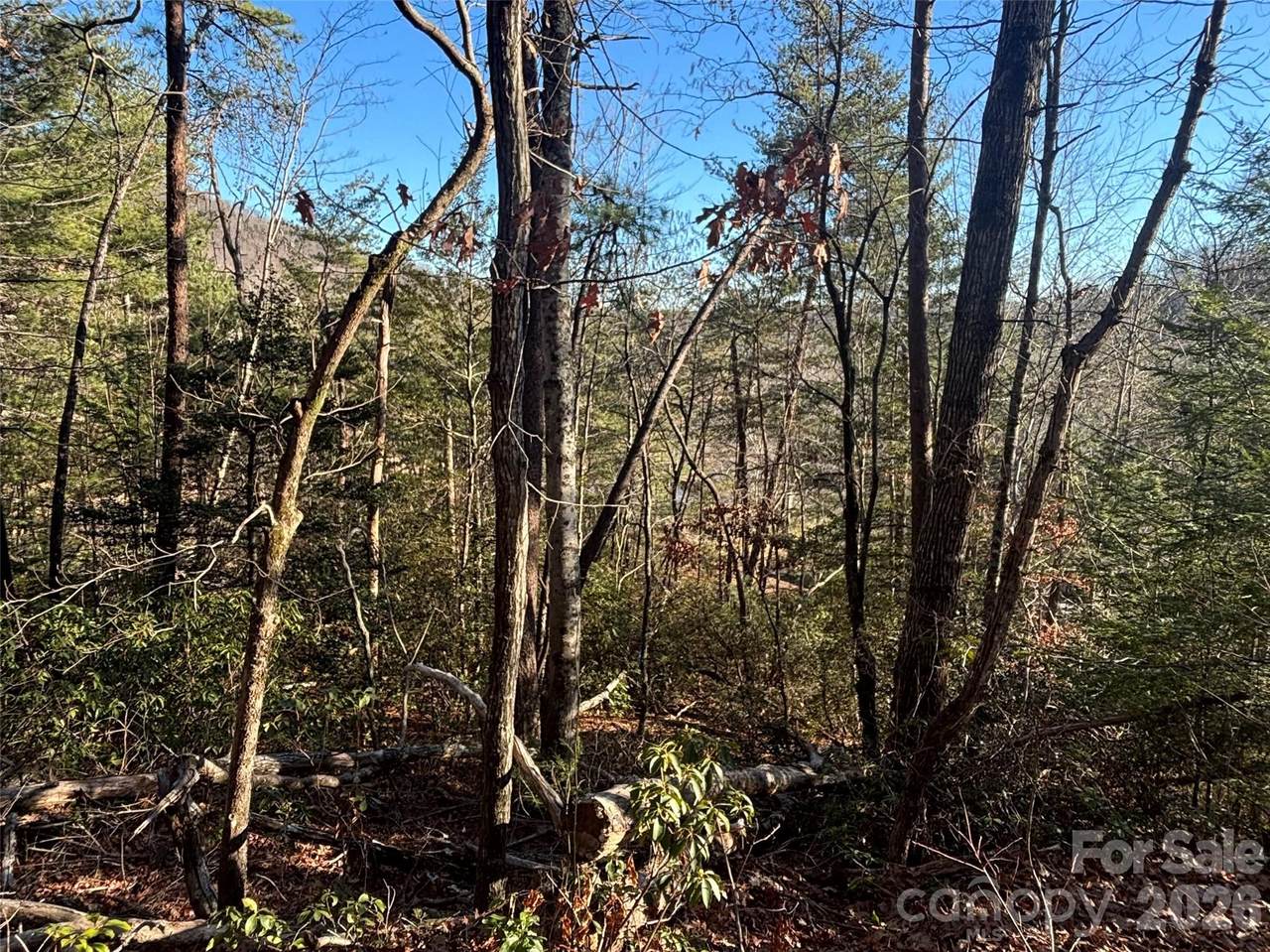 https://bt-photos.global.ssl.fastly.net/cmls/1280_boomver_2_4337292-1.jpg