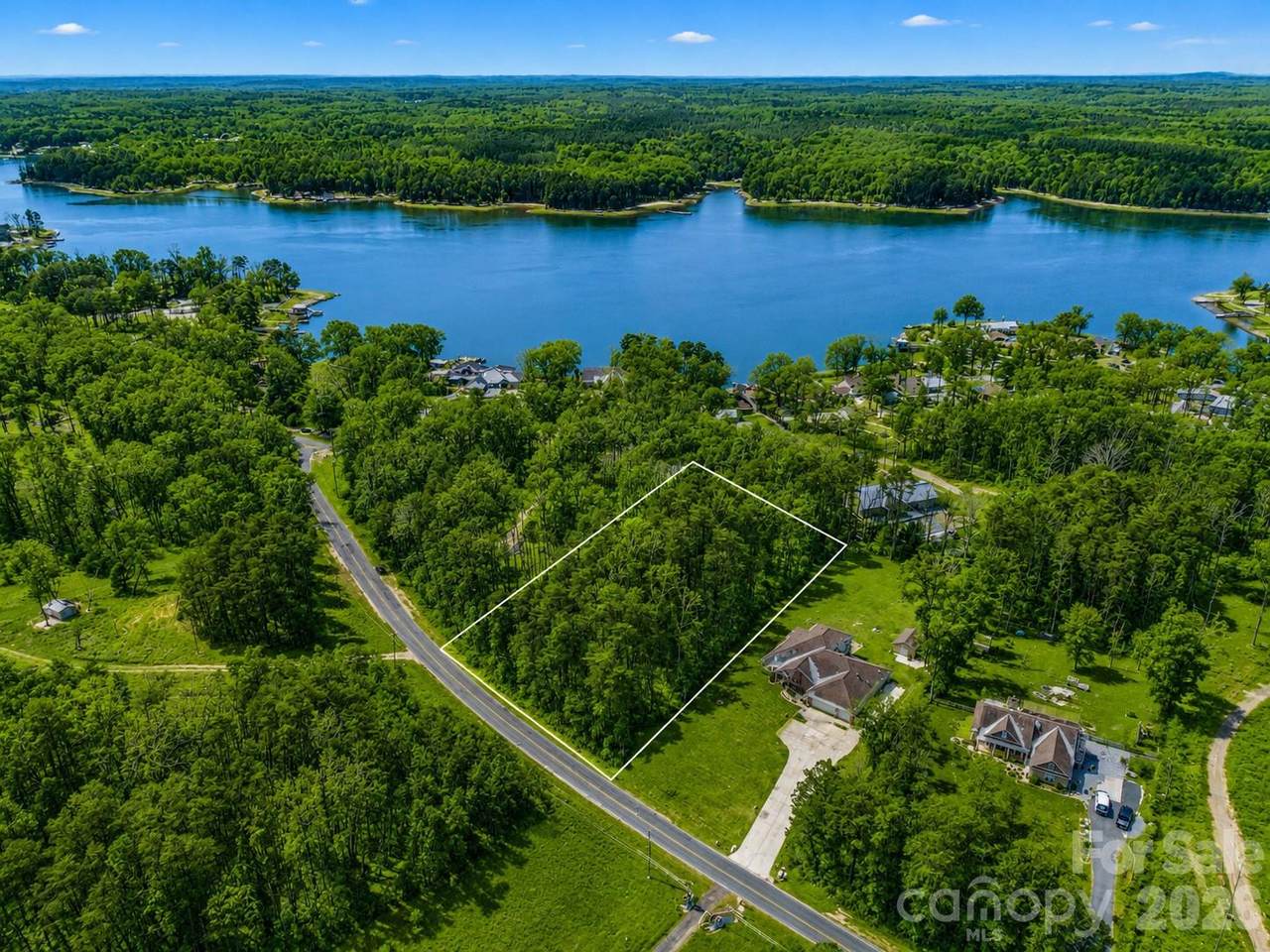 0 Hedrick Lambe Drive - Photo 1