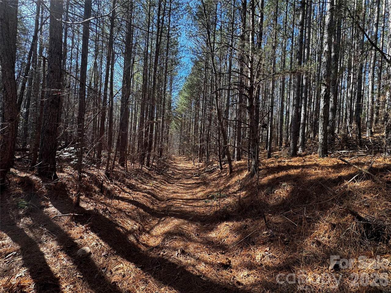 0 Painters Gap Road - Photo 1