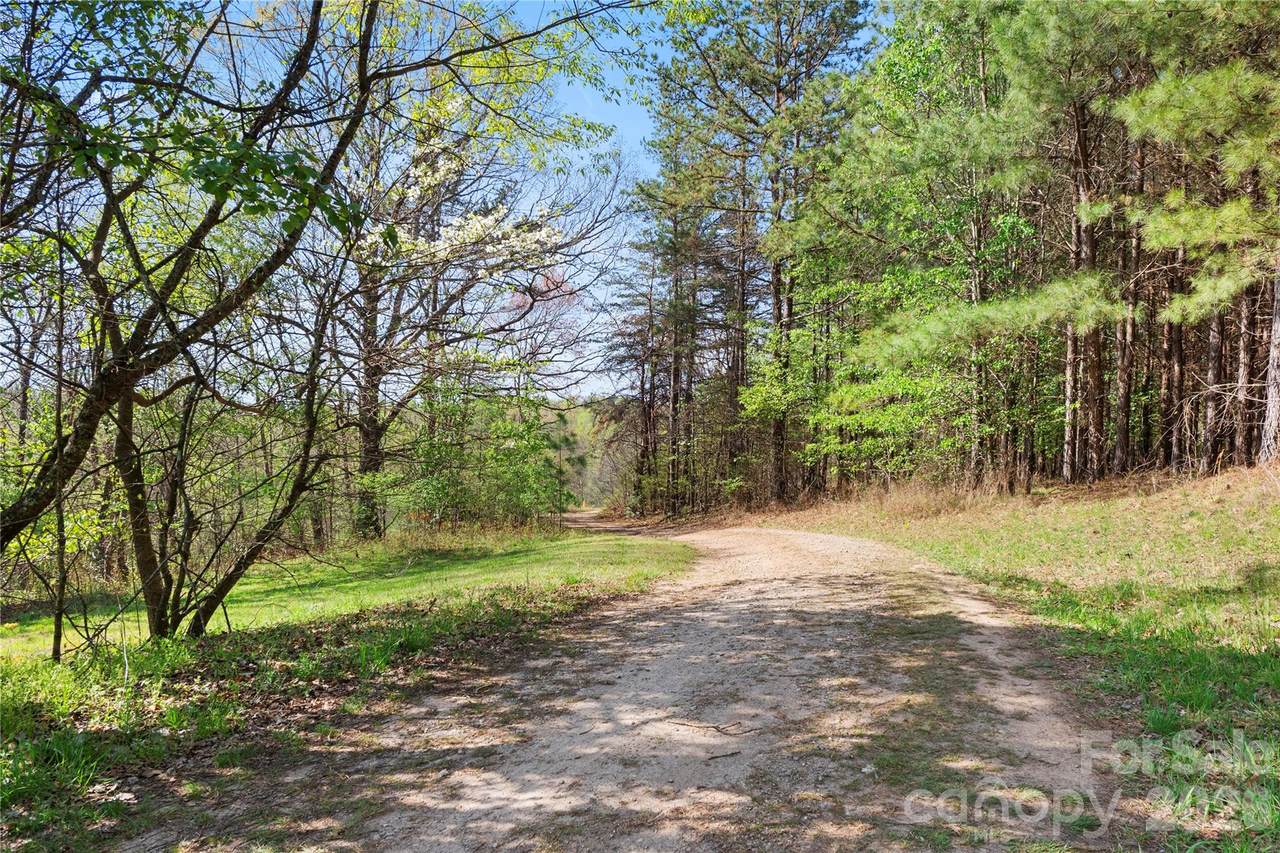 4675 Hickory Nut Ridge Road - Photo 1