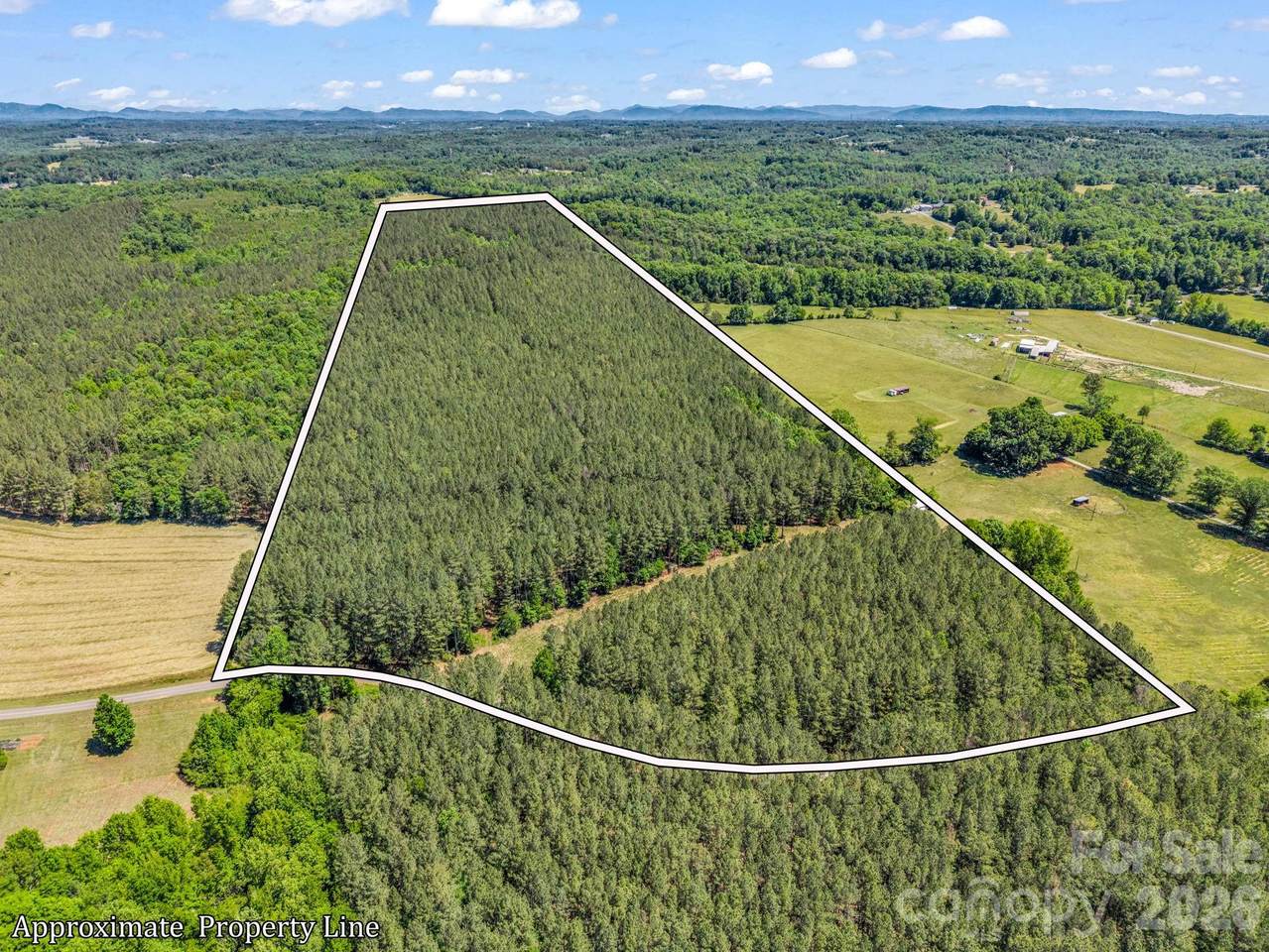 0 Jim Dobbins Road - Photo 1
