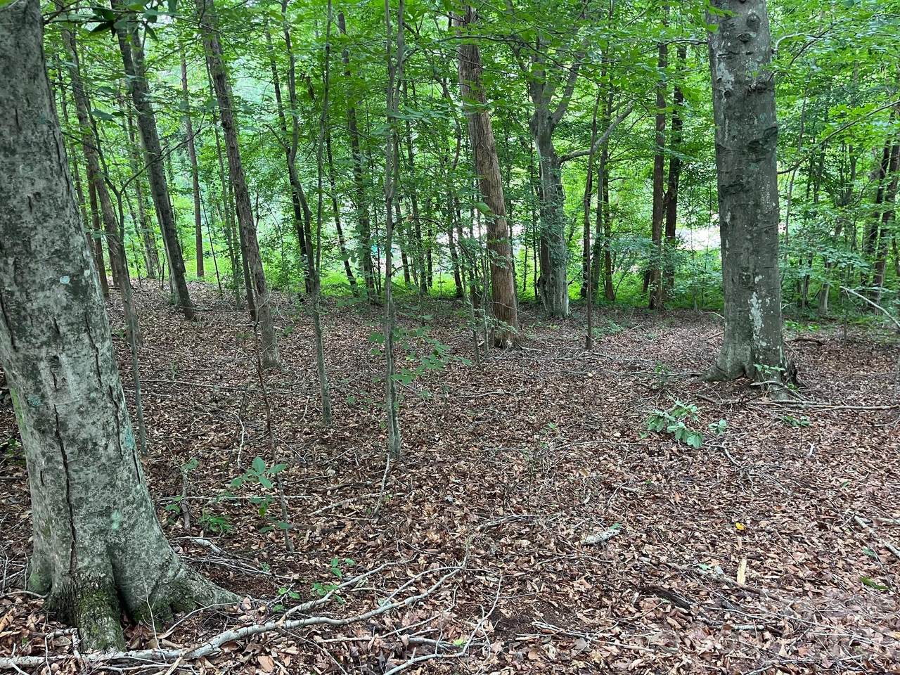 V/L Moore Branch Drive - Photo 1