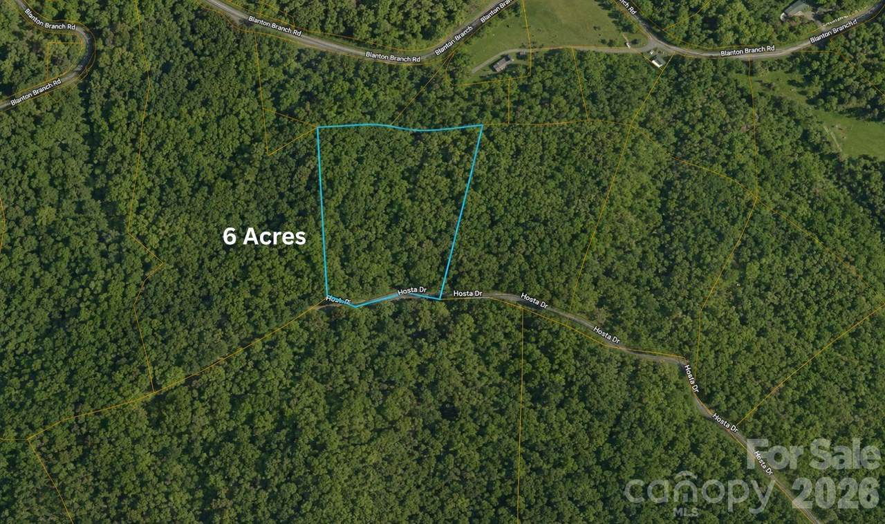 TBD2 98 Hosta Drive - Photo 1