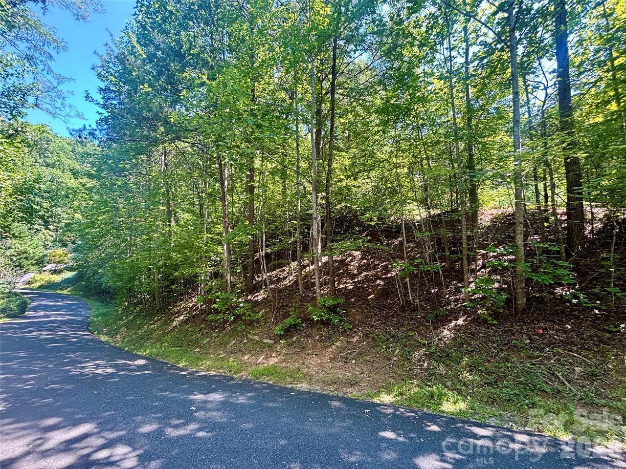 Lot 77 Winesap Boulevard - Photo 1