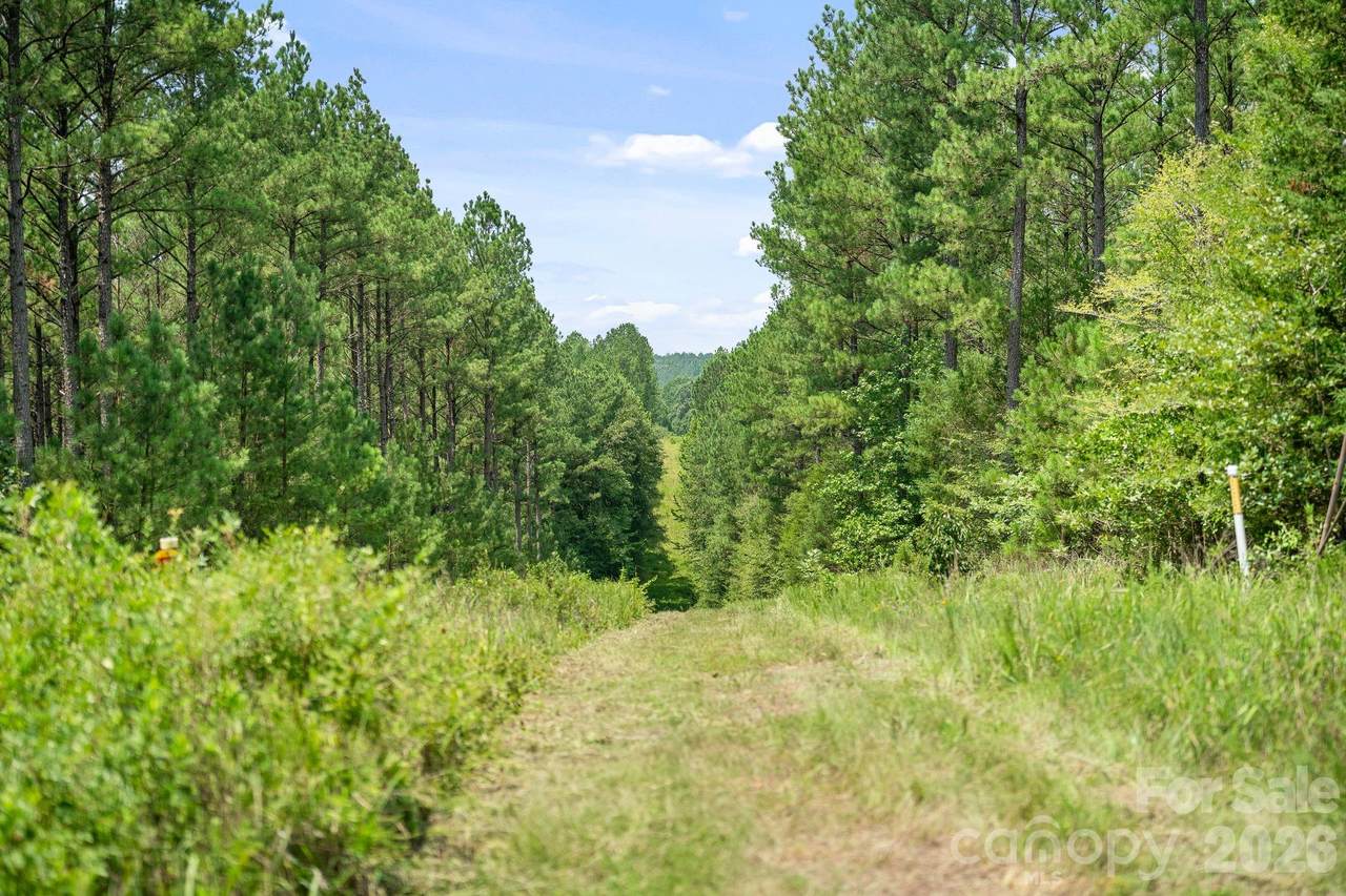 https://bt-photos.global.ssl.fastly.net/cmls/1280_boomver_2_4408342-1.jpg