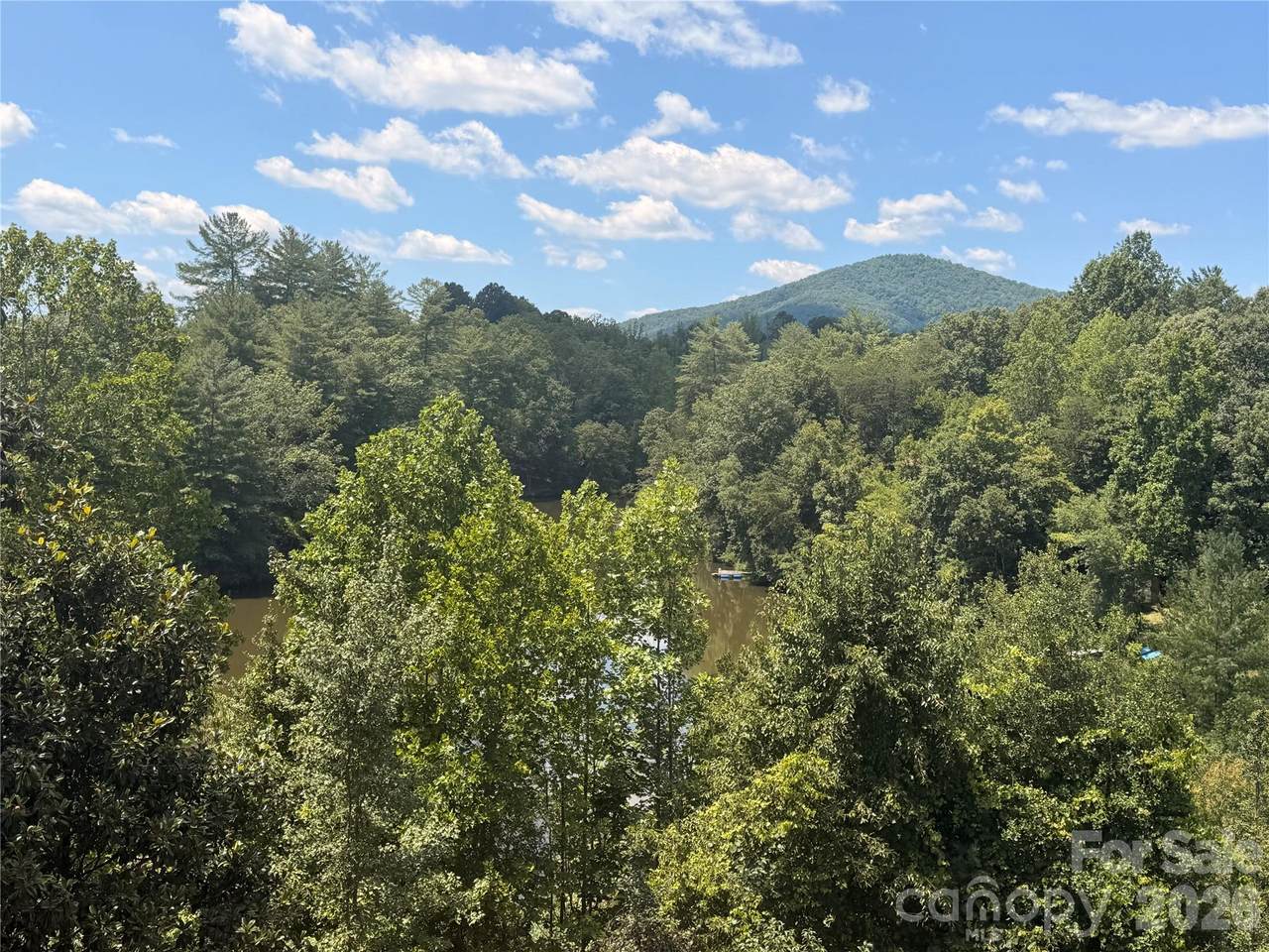 4991 Albert Williams Road - Photo 1