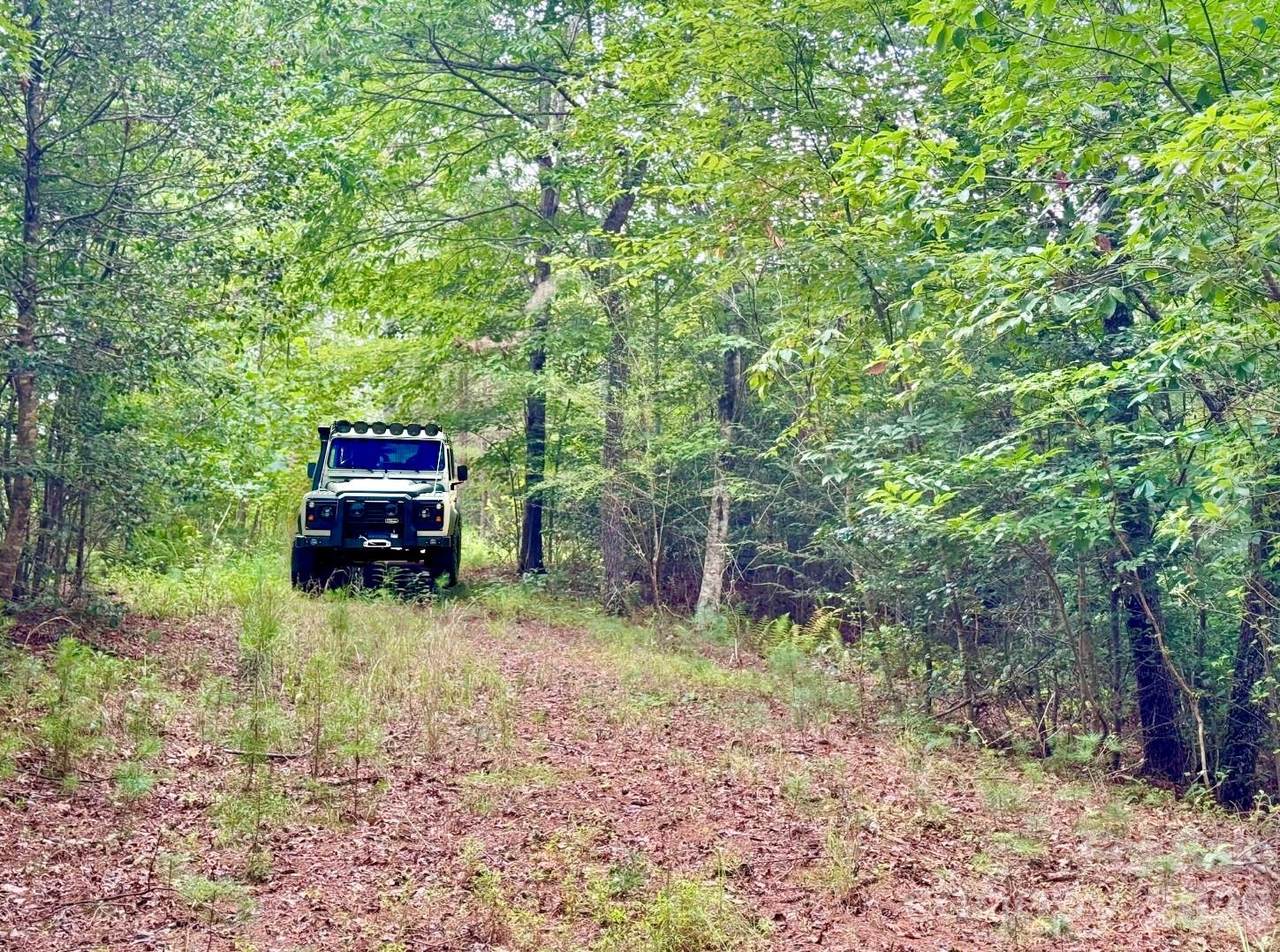 Lot 126 & Lot 127A Sunset Creek Lane - Photo 1